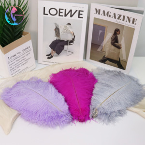 Tại Chỗ Bán Buôn Chất Lượng Cao Nhuộm 35-40 Cm Đà Điểu Lông Giá Rẻ Lông Cho Đảng Wedding Phòng Trang Trí - Product Image 1