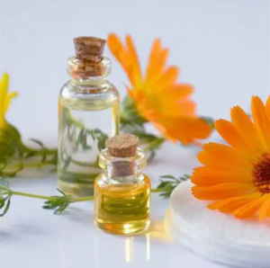 Huile de Calendula Pure à <span class=keywords><strong>Prix</strong></span> de Gros pour Soins Cosmétiques et Esthétiques, Extrait Végétal - Product Image 2