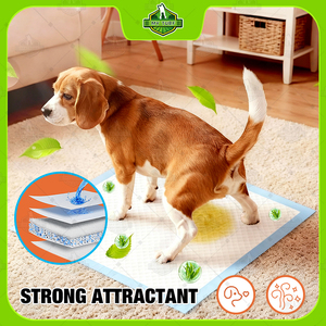 Tappetini Assorbenti <span class=keywords><strong>Usa</strong></span> <span class=keywords><strong>e</strong></span> <span class=keywords><strong>Getta</strong></span> per Addestramento Cani, Formula Attraente, Tappetini per Cuccioli di Alta Qualità - Product Image 4