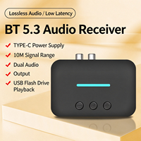 BT 5.3 Audio-Empfänger Kabelloser Audio-Adapter RCA AUX USB-Disk-Wiedergabe Typ-C Stromversorgung für Alte Verstärker und Lautsprecher