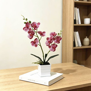 Fleur artificielle Paulon Phalaenopsis Orchidée 42 cm de haut en plastique souple, décoration de bureau pour la maison et accessoires de mariage - Product Image 3