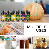 Lots en gros d'huiles essentielles pures et naturelles pressées à froid (lavande, menthe, orange douce, eucalyptus) – Coffrets d'huiles fraîches pour cheveux et peau