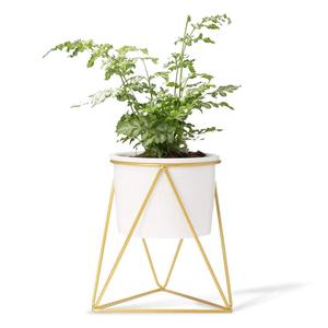 <span class=keywords><strong>Support</strong></span> de pot de plante moderne de haute qualité <span class=keywords><strong>support</strong></span> de <span class=keywords><strong>fleur</strong></span> d'intérieur en fil métallique avec fonction de roulement pour le type d'emballage de bureau ou de sol - Product Image 1
