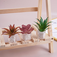 Mini-plante succulente artificielle en pot, modèle miniature, décoration de bureau pour micro-scène, petit ornement, accessoire de photographie