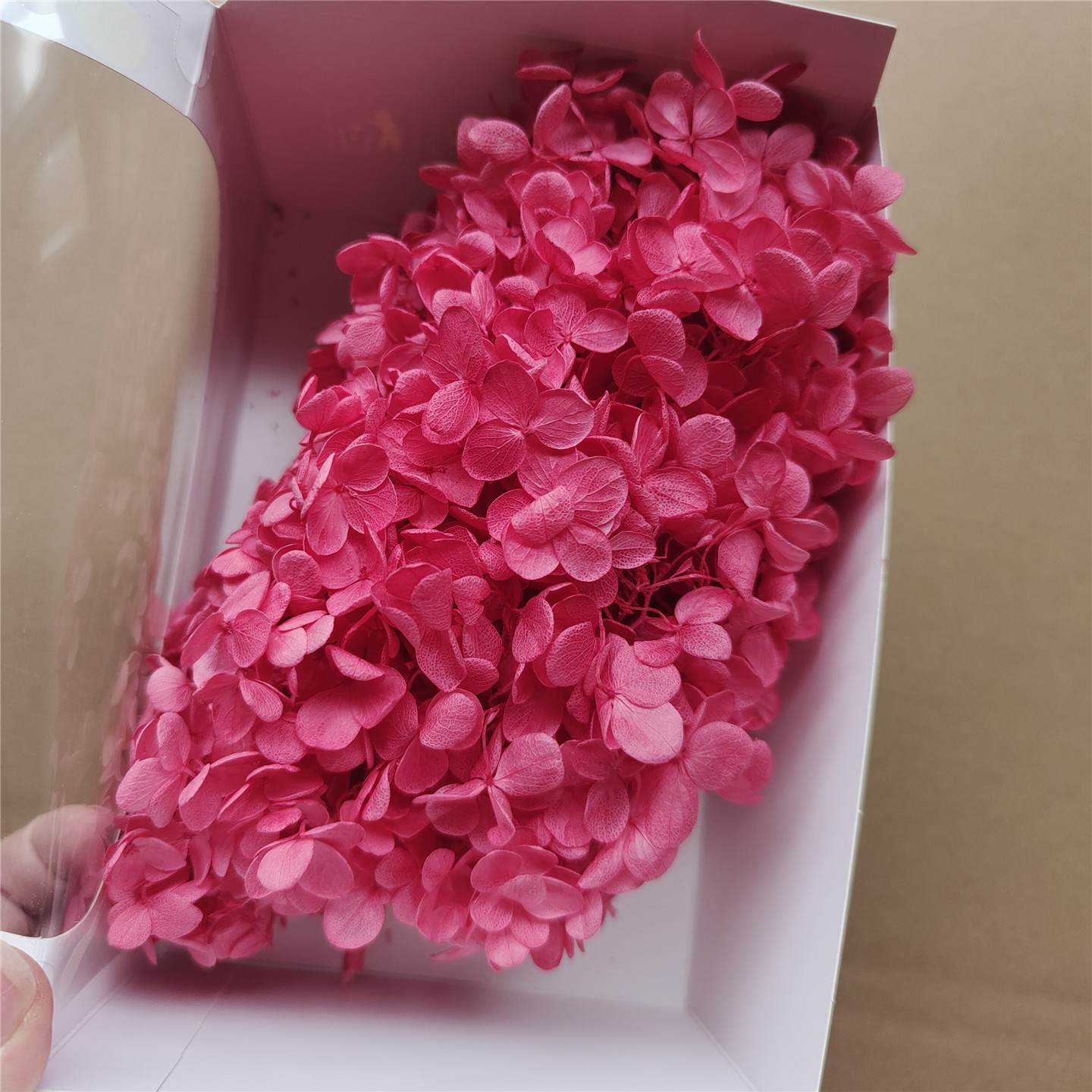 Hortensia en bois rose fleur de cerisier le plus profond - 20g par boîte
