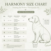 Attelle orthopédique pour patte de chien, soulagement de la douleur, soutien pour entorse et fracture, respirante, réglable, durable, PETSGUARD, pour la marche après blessure