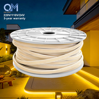 Bande LED COB, ruban flexible étanche IP67, 12V/24V 312 LED/m, contrôlée par application, blanc chaud/neutre/blanc froid, éclairage extérieur