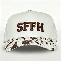 Gorras de Béisbol Personalizadas al por Mayor, 6 Paneles, Logotipo Bordado, Visera Curva, Cierre a Presión Ajustable, Hebilla de Plástico, para Hombre