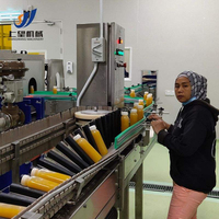 Industriële mangosapverwerkingsmachine, fruit-sap drankenproductielijn met pasteurisator, vul- en verpakkingsapparatuur
