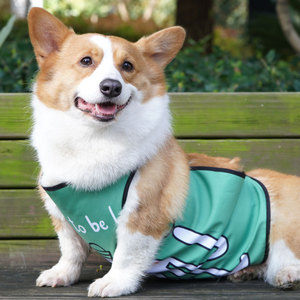 Corgi Belly Bib - Ropa impermeable para mascotas, color verde, para perros pequeños y medianos, uso en verano y en las cuatro estaciones - Product Image 1