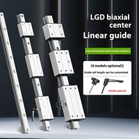 Sistema de Guías Lineales Biaxiales Serie LGD Resistentes a la Corrosión para Robots Industriales y Máquinas de Corte por Láser
