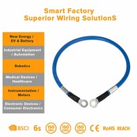 Arnés de Cableado para Almacenamiento de Energía Fotovoltaica con Clasificación IP65, Conductor de Cobre Puro de 6AWG, 8AWG y 10AWG, Personalizado por la Fábrica XPB