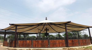 Máquina de correr para caminar por caballos, Motor para 6/8 posiciones con valla eléctrica y controlador - Product Image 5