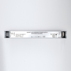 40 Wát Dimmable dẫn lái xe tuya wifi thông minh LED Dimmer 2CH CCT liên tục hiện tại LED chiếu sáng điều khiển - Product Image 1