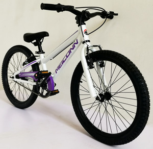 Vélo pour enfants 20 pouces, cadre en acier, garçons filles, âges 6-12 ans, hauteur 48-62, siège et guidon réglables SY-BM20012 SY-BM20012 - Product Image 1