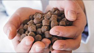 <span class=keywords><strong>Máquina</strong></span> extrusora de pellet de alimentación de peces, gran capacidad, alta calidad, ygt178 - Product Image 6