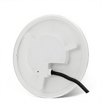 Luz LED Plana PAR56 para Piscina, Diámetro 178mm, 24W, Blanca, IP68 Impermeable, Control Remoto, Bombilla de Repuesto Universal para Nicho
