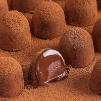 Truffes au chocolat noir saveur lait/naturel, emballées individuellement, mini-bonbons, substitut de beurre de cacao, chocolat truffé