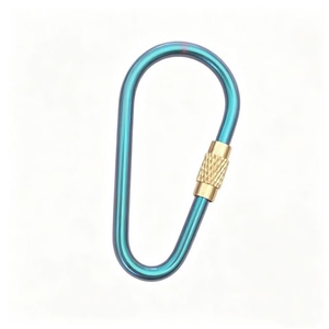 Mosquetón de Aleación de <span class=keywords><strong>Titanio</strong></span> GR5 Colorido para Camping y Senderismo, Llavero con Gancho y Anillo para Llaves - Product Image 4