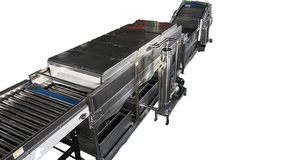 Jc Sắp Xếp Tự Động Xoài Rửa Trọng Lượng Phân Loại Máy Trái Cây Tươi Phân Loại & Thiết Bị Chế Biến Cho Xoài Kích Thước Phân Loại - Product Image 3