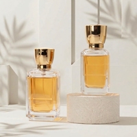 Flacon de parfum en verre vaporisateur de luxe au design moderne, avec couvercle personnalisé, 30 ml, 50 ml, diffuseur en plastique transparent, boîte cadeau, flacons de parfum