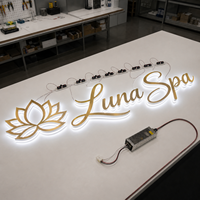 Lettres lumineuses en métal pour l'image de marque de l'entreprise, signalétique murale personnalisée pour bureau