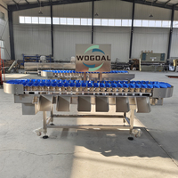Hete Aanbieding Industrieel Automatisch Weeg- en Sorteermachine voor Fruit, Groenten en Noten, 304 RVS, ISO Gecertificeerd