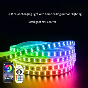 Penutup PVC IP65 220V SMD 5050 220V strip led RGB 60 72 120 strip lampu led strip lampu fleksibel tahan air