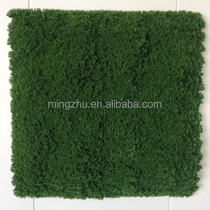 Siepe Artificiale in Muschio <span class=keywords><strong>Aplastico</strong></span> 062, Fogliame di Bosso, Tappeto per Giardino Verticale, Ecologico per Cantieri e Recinzioni Esterne - Product Image 4