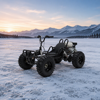 Nouvelle Conception en Promotion : Buggy à Essence 212cc 4 Temps avec Sièges Réglables, Marche Arrière, Phares Avant, Vitesse Maximale 85km/h – Voiture de Drift Tout-Terrain