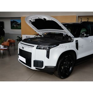 ROX 01 Extended-Range Explorer Toit Extension Platform 0.4h Charge Rapide 306km CLTC Battery Range new energy vehicle - Product Image 6