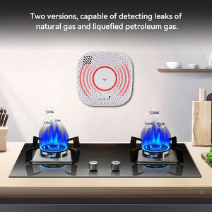 Tuya akıllı ev gaz Alarm APP kontrolü ile LPG/doğal gaz dedektörü 0-20% LEL aralığı 5-Year sensörü yaşam kaçak algılama uyarısı - Product Image 6
