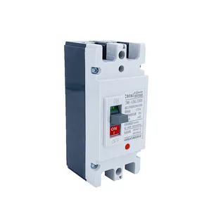 CTM1-125L/2300 Ac 2P 63a 80a 100a 125a 2 Fase 690V 35ka 125amp Hoofdschakelaar Verstelbare Dc Mccb Gegoten Behuizing Stroomonderbreker