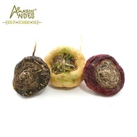 Polvo de Extracto de Raíz de Black Wild de la Mejor Calidad, Grado Alimenticio, Servicios OEM para Exportadores a Granel con Empaque en Botellas y Tambores