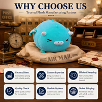 Peluche ours bouclé doux et mignon, jouet en peluche personnalisé pour la Saint-Valentin, jouet animal en peluche, compagnon pou
