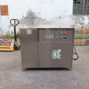 Draagbare 10L 20L 30L 40L 50L <span class=keywords><strong>100L</strong></span> zuurstofgenerator PSA hogedrukzuurstofgenerator - Product Image 3