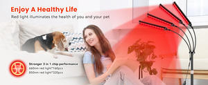 Lámpara <span class=keywords><strong>de</strong></span> Terapia <span class=keywords><strong>de</strong></span> Luz Roja <span class=keywords><strong>de</strong></span> 4 Cabezas con Doble Longitud <span class=keywords><strong>de</strong></span> Onda Ajustable <span class=keywords><strong>de</strong></span> 660nm y 850nm, Equipo <span class=keywords><strong>de</strong></span> Rehabilitación y Ejercicio Corporal - Product Image 6