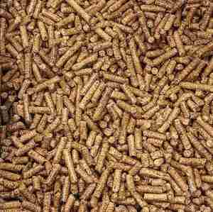 Pellets de Carbón Vegetal de Alta Adsorción al por Mayor, Ecológicos, sin Humo, Combustible Natural de Combustión Limpia para Asados al Aire Libre - Product Image 1