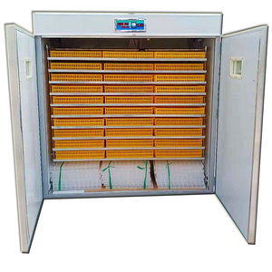 Sistema Completo per Incubazione Commerciale |   Incubatrice Industriale Automatica con Capacità di 5000 Uova per Appalti Governativi - Product Image 5