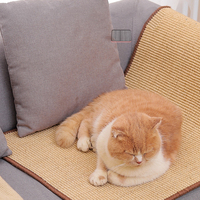 Tapis à gratter pour chat en sisal de qualité supérieure, résistant à l'usure, protège-griffes pour arbre à chat et canapé