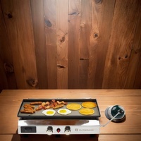 Offre promotionnelle : Four de cuisson et barbecue portable en acier chromé pour la pêche, le jardinage et les activités de plein air, avec réchaud à gaz propane pour le camping