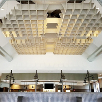 Panneaux acoustiques de plafond en fibre de polyester, insonorisants, ignifuges, imperméables, NRC 0.9 pour salles de conférence, restaurants