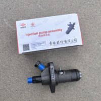 Ensemble de pompe à carburant en acier pour moteur diesel ZS1110/1115 / Tricycle tracteur WAW / Pièces détachées pour machines agricoles avec garantie de 6 mois