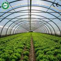 Serre tunnel agricole Guangyuan multi-chapelles en PE à double couche avec structure en acier galvanisé pour la culture de légumes