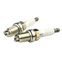 Bougies d'allumage double électrode en iridium Auto FLR8LDCU+9 0242229654 0242229878 0242229519 pour BMW VW SUZUKI GM09146367 Bujia