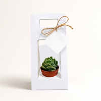 Cajas de Flores con Logotipo Personalizado para Ramos, Caja de Flores de Cartón Ecológica para Regalos de Boda