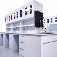 Mesa de Experimentos de Física, Química y Biología, Muebles de Laboratorio con Fregadero y Estante para Reactivos para Escuelas y Universidades