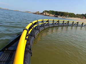 Souffrez-vous d'une forte perte de récolte ? Notre cage à poissons en HDPE anti-salissure peut résoudre ce problème ! - Product Image 2