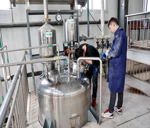 <span class=keywords><strong>100</strong></span>% 有機サボテンエキス粉末天然減量植物エキス - Product Image 3