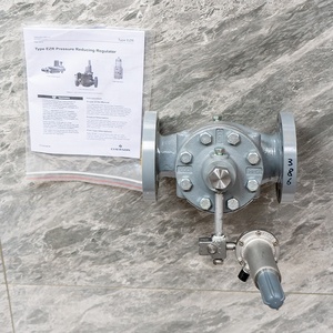 Fischer EZR DN50 300RF 130-200PSI régulateur de gaz bride fin haute efficacité soupape de réduction de pression pièces de chaudière - Product Image 3